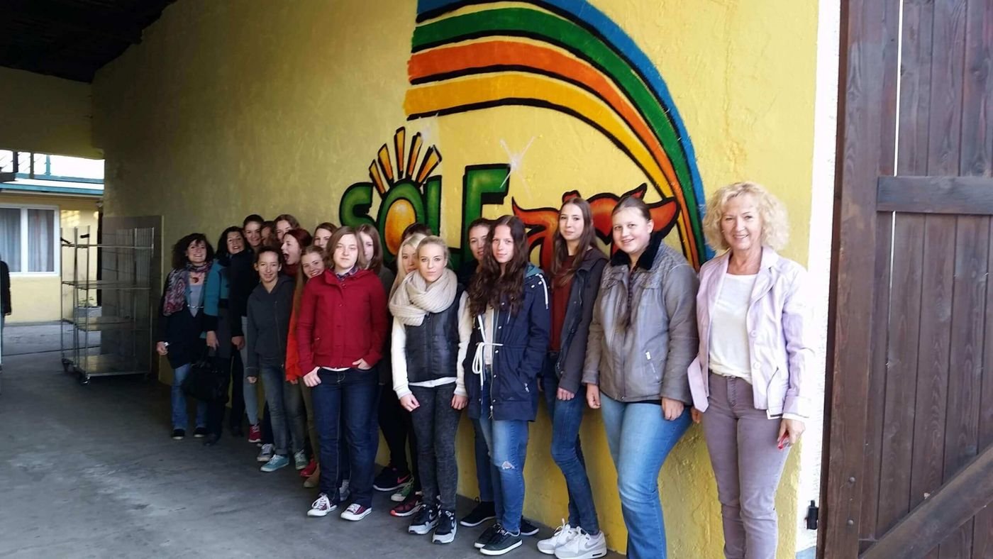 2015 Exkursion Borg Straßwalchen zu SOLEart